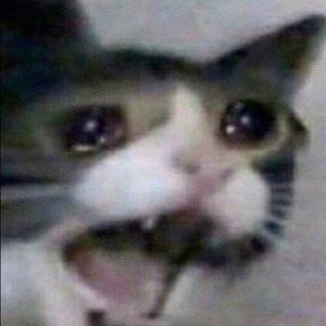 Meet your Posher, Gavin